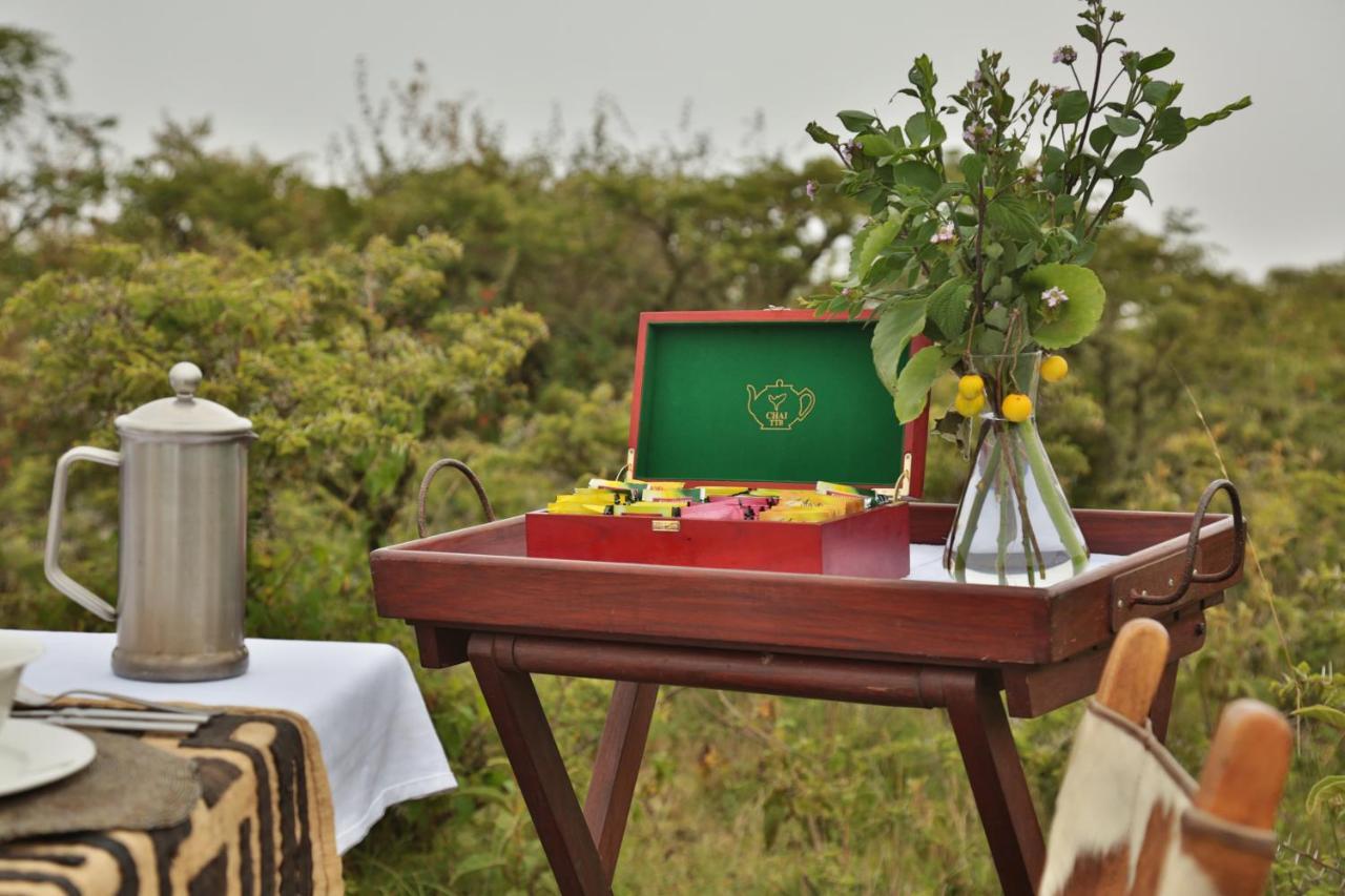 فندق Pakulala Safari Camp - نجورونجورو المظهر الخارجي الصورة
